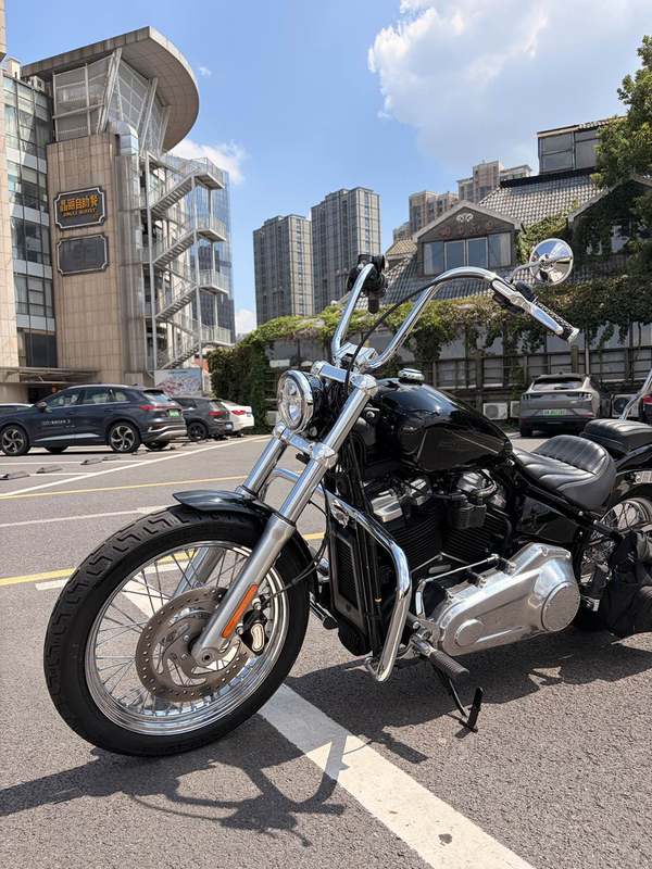 二手哈雷戴维森Softail Standard