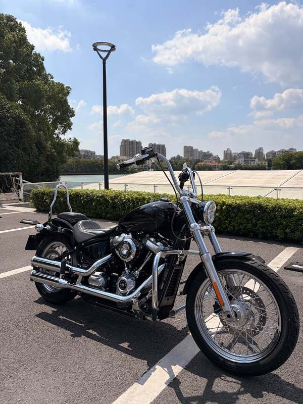 二手哈雷戴维森Softail Standard
