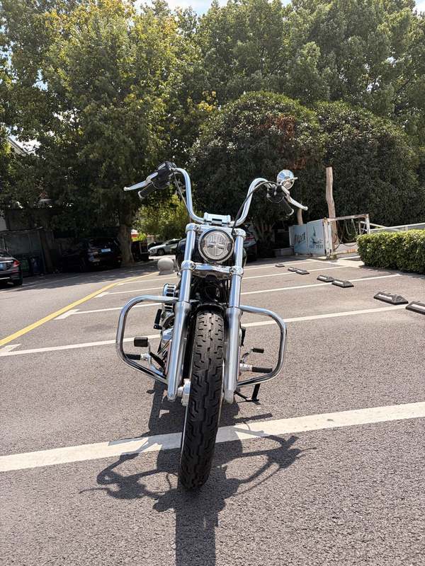 二手哈雷戴维森Softail Standard