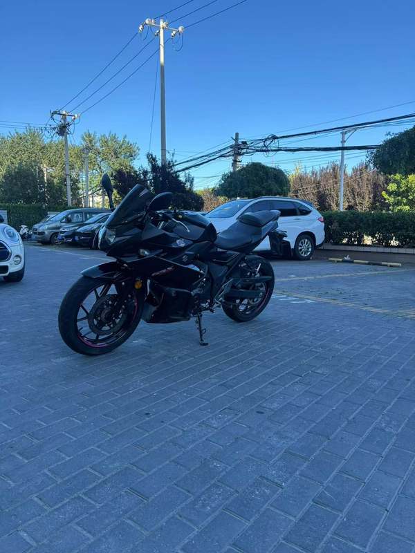 二手豪爵铃木GSX250R