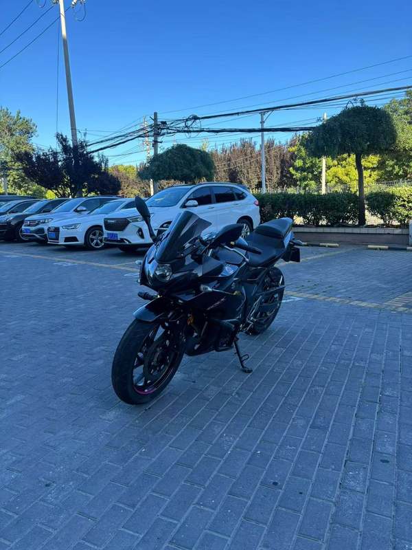 二手豪爵铃木GSX250R