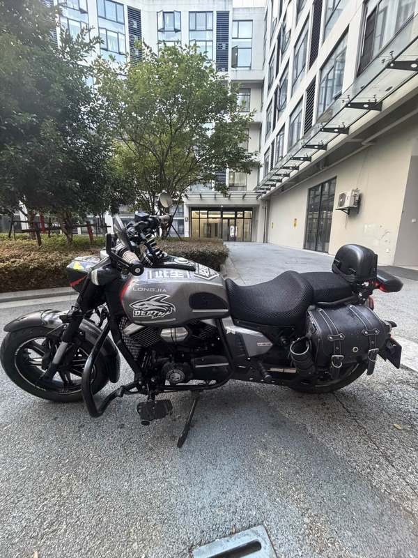 二手龙嘉V霸250