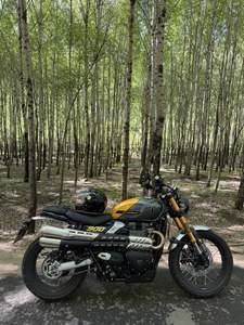 二手凯旋Scrambler 900