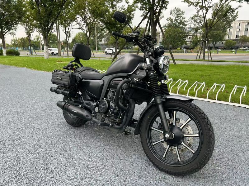 二手赛科龙RA250