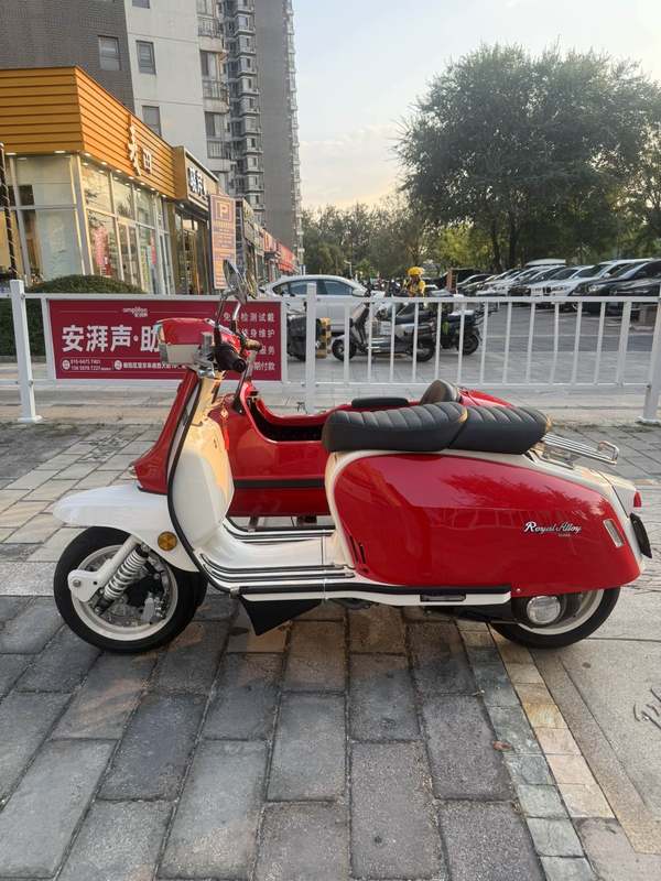 二手ROYAL ALLOYGP250 Sidecar