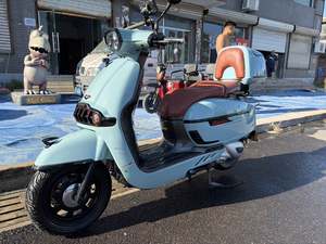 二手维多利亚Sixties 250Si
