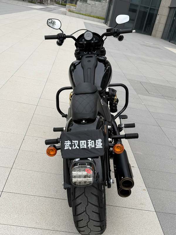 二手哈雷戴维森路威 Low Rider S