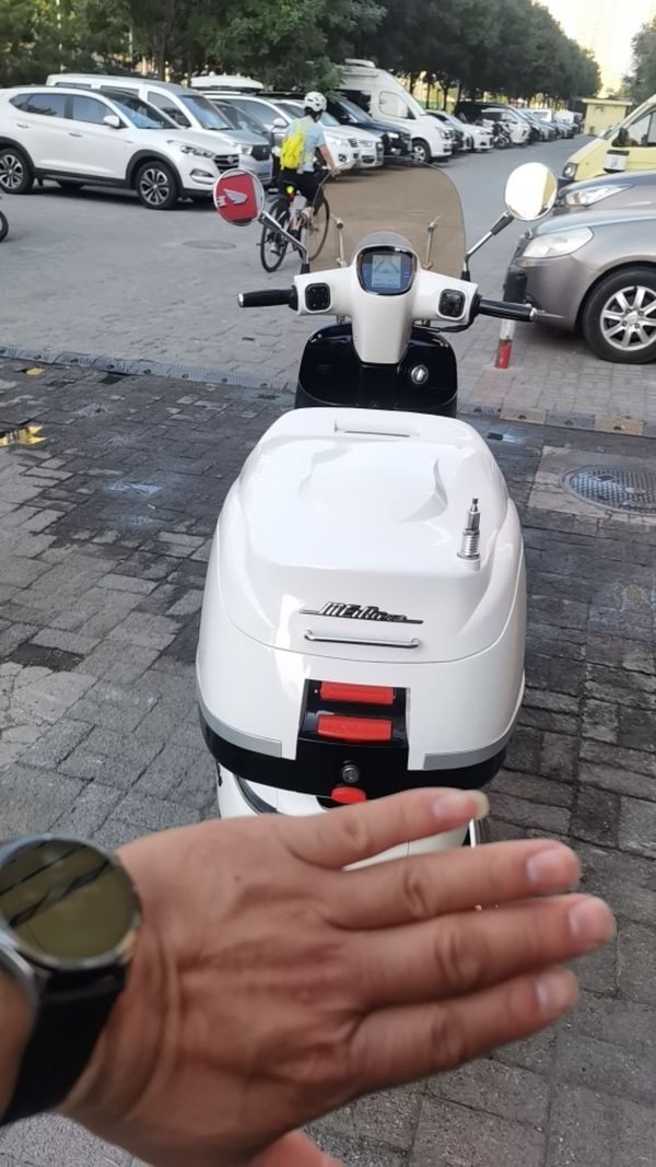 二手南方梦拉丽莎 飞戈