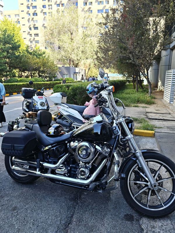 二手哈雷戴维森路威 Low Rider