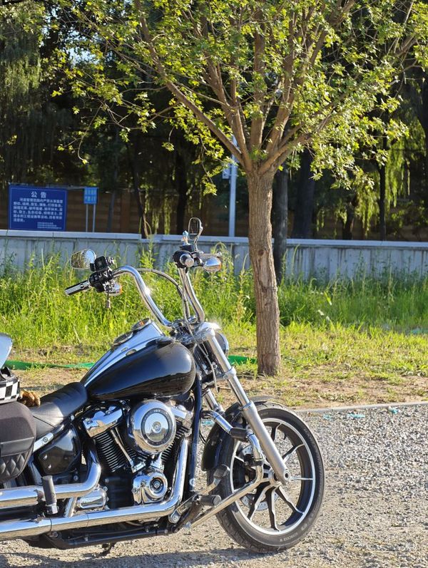 二手哈雷戴维森路威 Low Rider