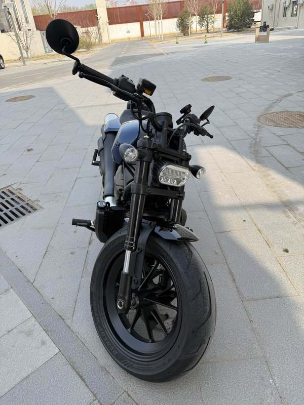 二手哈雷戴维森Sportster S