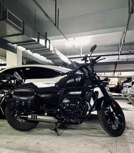 二手赛科龙RA250