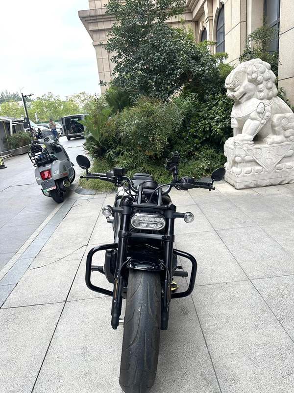 二手哈雷戴维森Sportster S