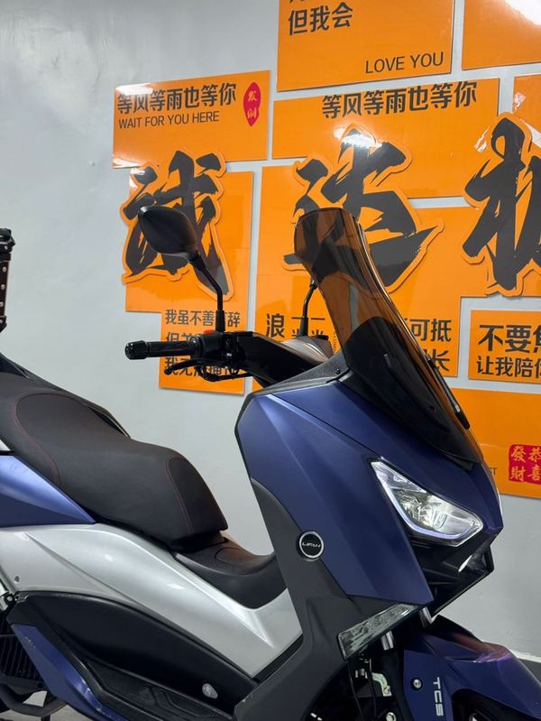 二手力帆蓝鲟
