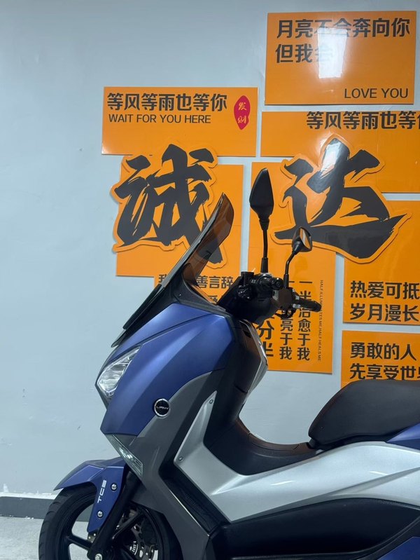 二手力帆蓝鲟