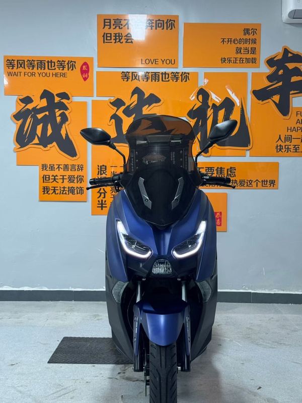 二手力帆蓝鲟