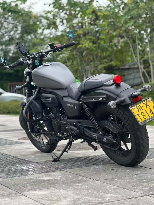 二手赛科龙RA250