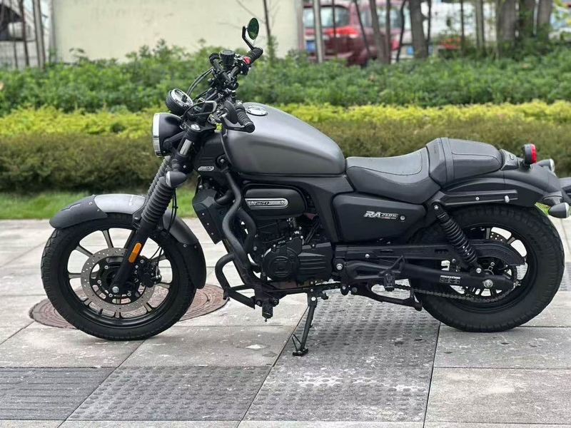 二手赛科龙RA250