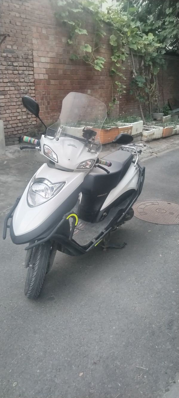 二手新大洲本田NS125D