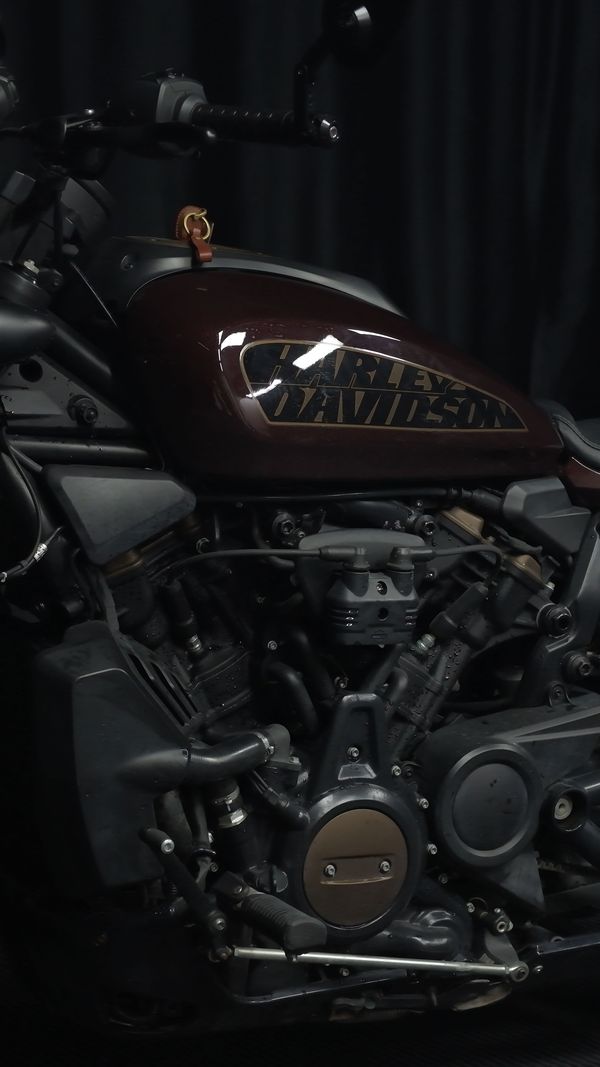 二手哈雷戴维森Sportster S
