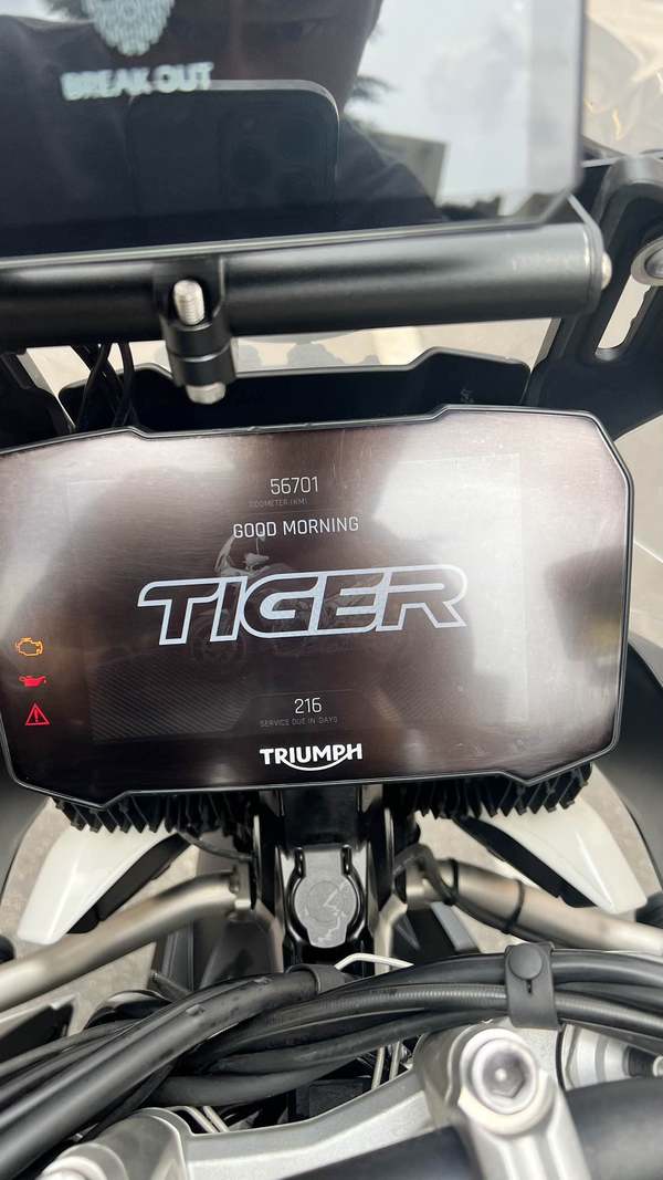 二手凯旋Tiger 900