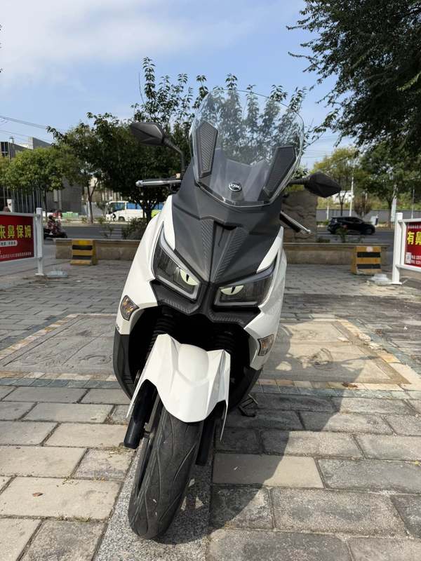 二手三阳Joymax Z 300