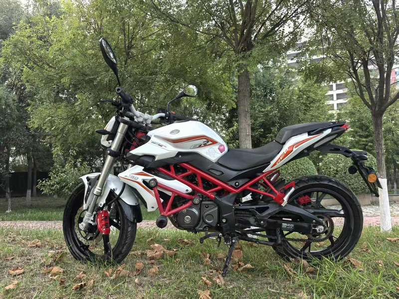 二手贝纳利红宝龙 TNT150i