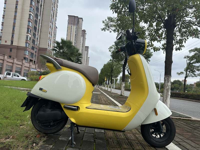 二手九号Q