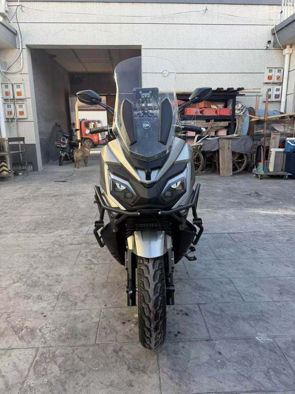 二手三阳行者 Joyride300
