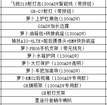 二手宝马R 1300 GS