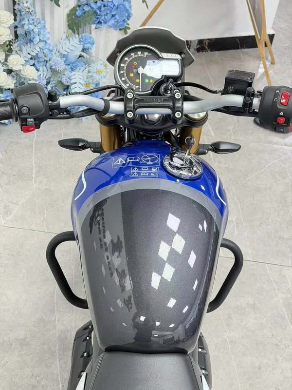 二手凯旋Speed 400