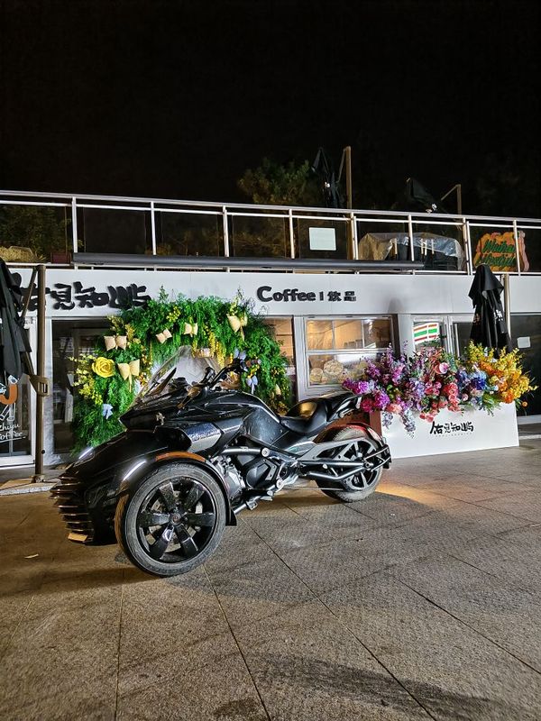 二手庞巴迪Spyder F3S
