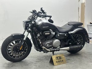 二手奔达Rock300 灰石