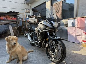 二手本田CB400X