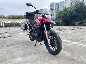 二手赛科龙RX1S