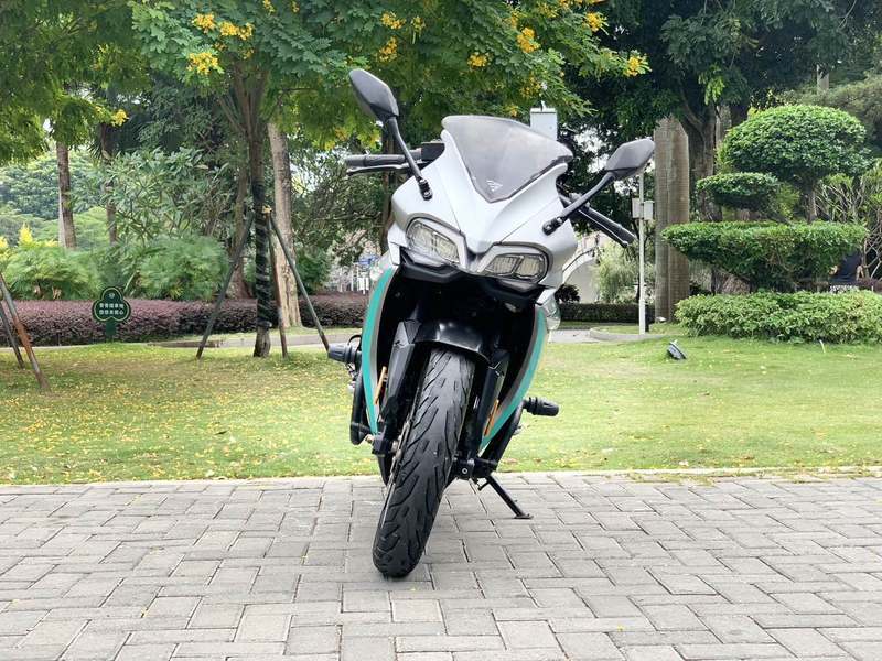 二手隆鑫隆鑫牌𠃊X300 G S －D