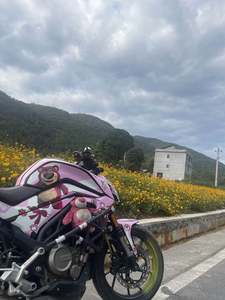 二手春风250NK