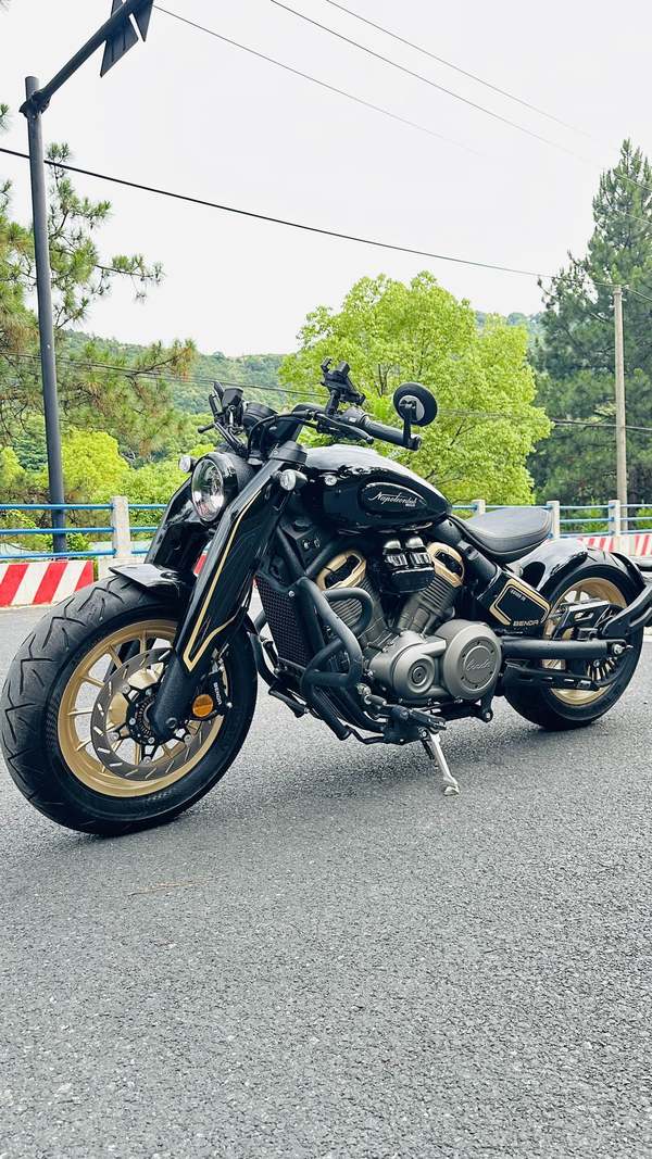 二手奔达拿破仑450
