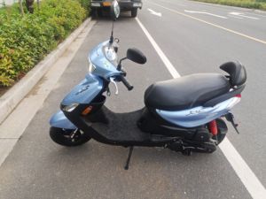 二手林海V舞