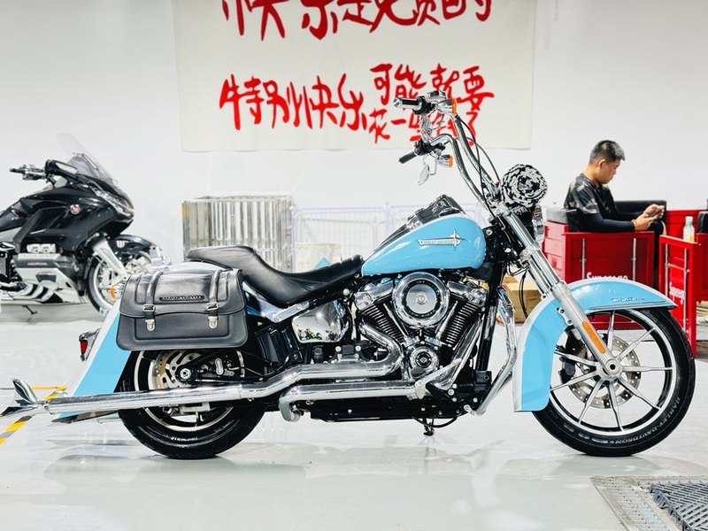 二手哈雷戴维森路威 Low Rider