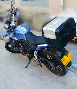 二手赛科龙RX1