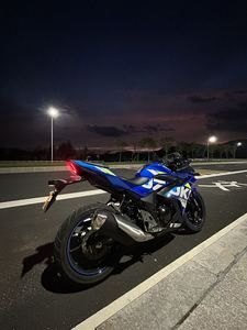 二手豪爵铃木GSX250R