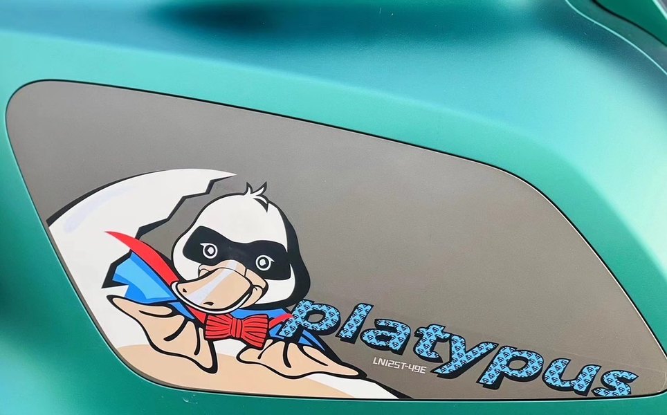 二手阿雷纳鸭嘴兽 Platypus