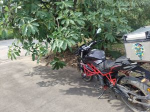 二手贝纳利红宝龙 TNT150i