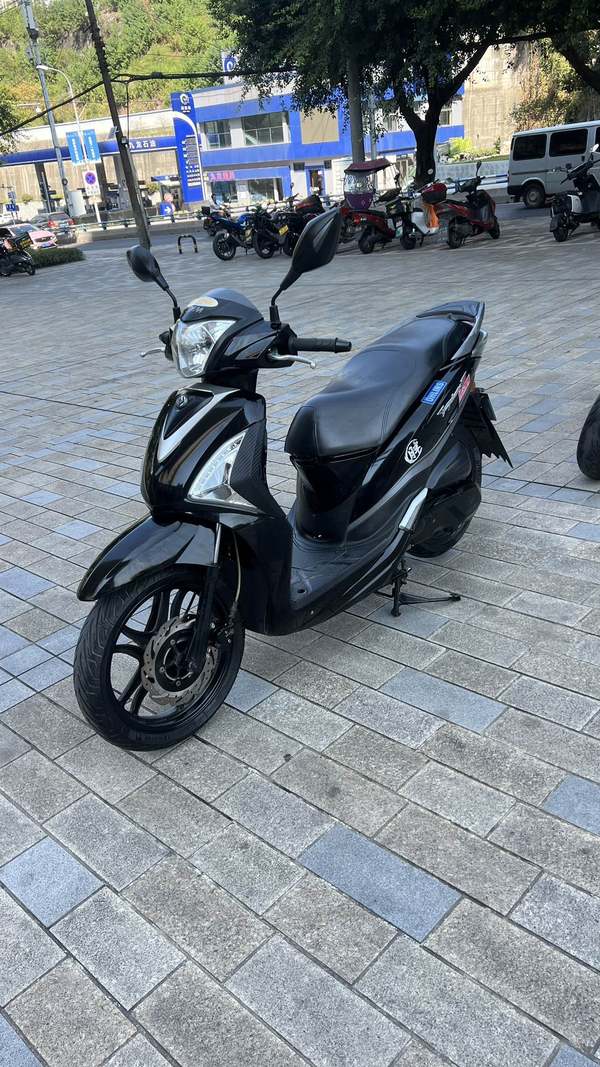 二手三阳XS175T