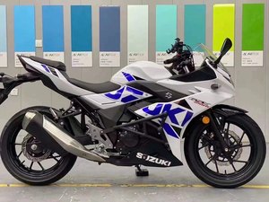 二手豪爵铃木GSX250R