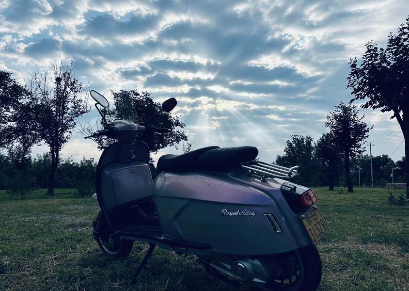 二手ROYAL ALLOYGT150