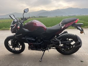 二手川崎Z 250