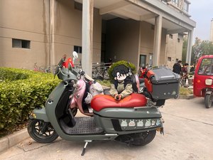 二手南方梦拉丽莎 Melalisa150