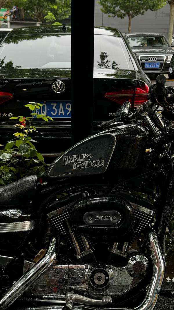二手哈雷戴维森1200 Custom